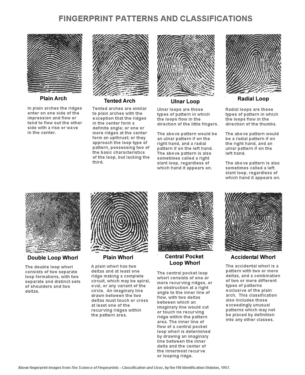 Fingerprint Application Form Qatar