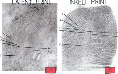 side-by-side images
