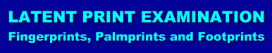 Latent Print Examination